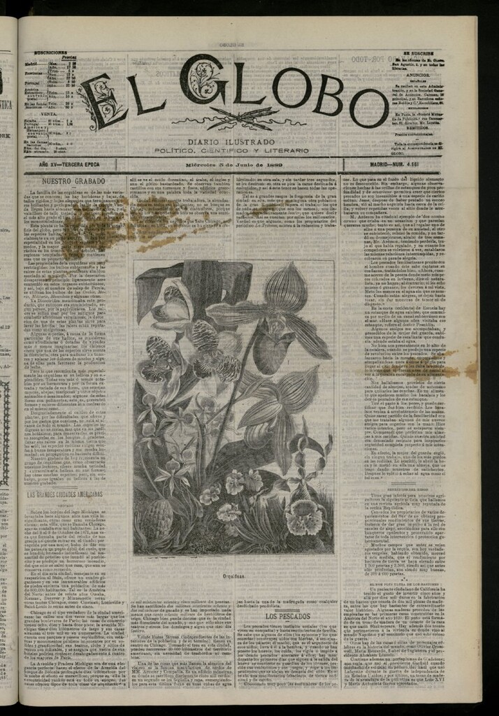 Miniatura de El Globo : diario ilustrado del 5 de junio de 1889, nº 4961