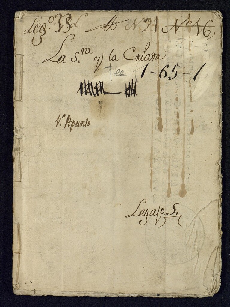 Miniatura de La señora y la criada