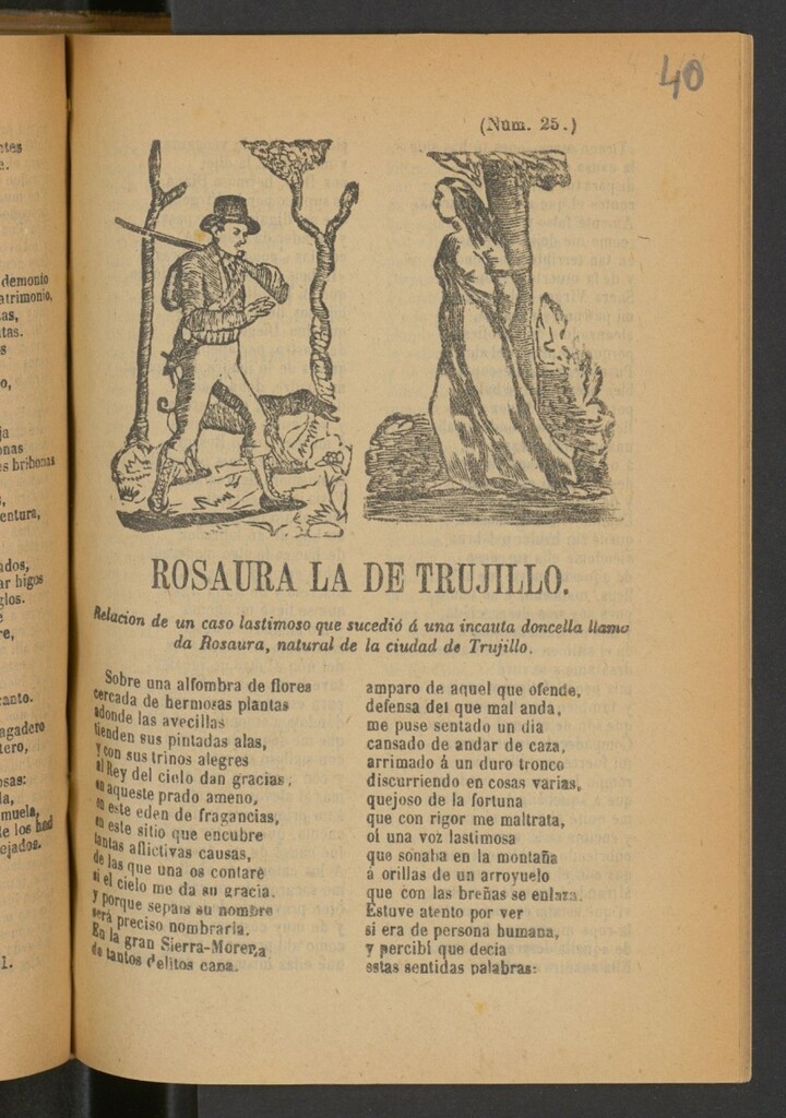 Miniatura de Rosaura la de Trujillo : relacion de un caso lastimoso que sucedió á una incauta doncella llamada Rosaura, natural de la ciudad de Trujillo.
