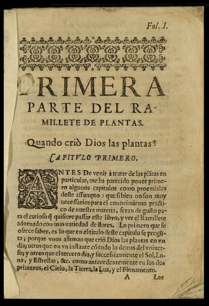 Miniatura de Ramillete de plantas compuesto por el Pe. Fray Esteuan de Villa, monge de S. Benito