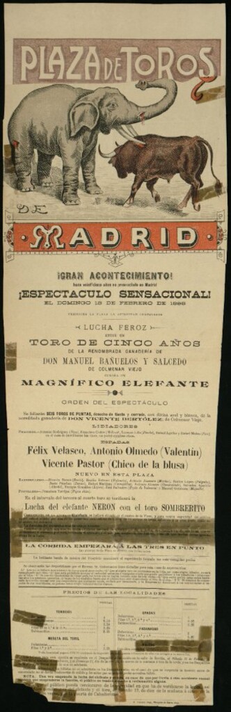 Miniatura de Lucha de un toro con un elefante celebrada el día 13 de febrero de 1898