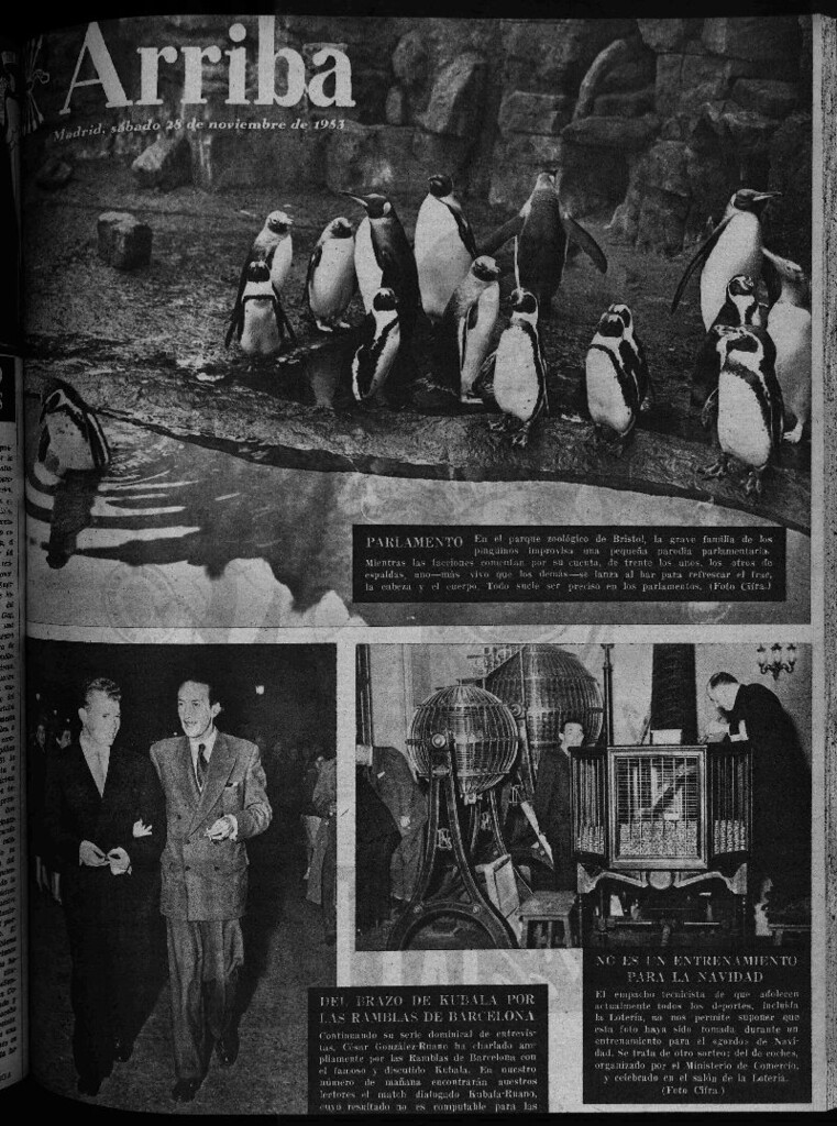 Miniatura de Arriba del 28 de noviembre de 1953