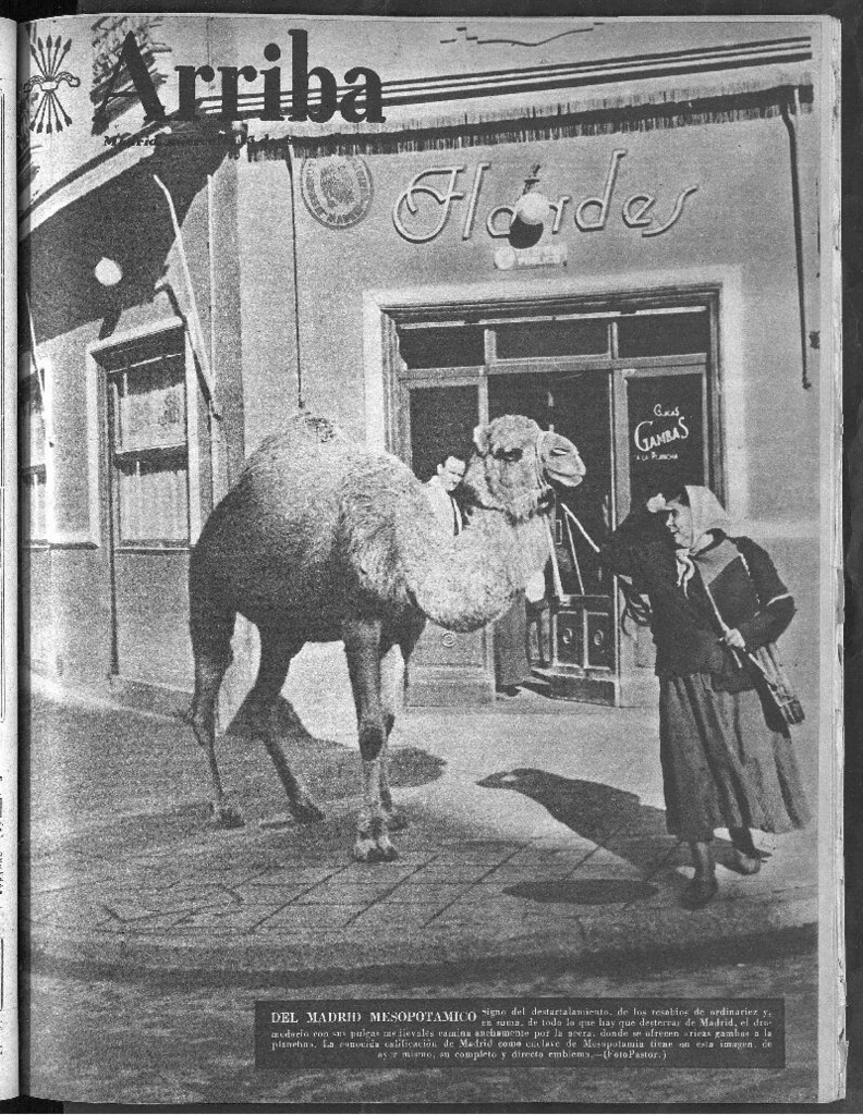 Miniatura de Arriba del 13 de enero de 1954