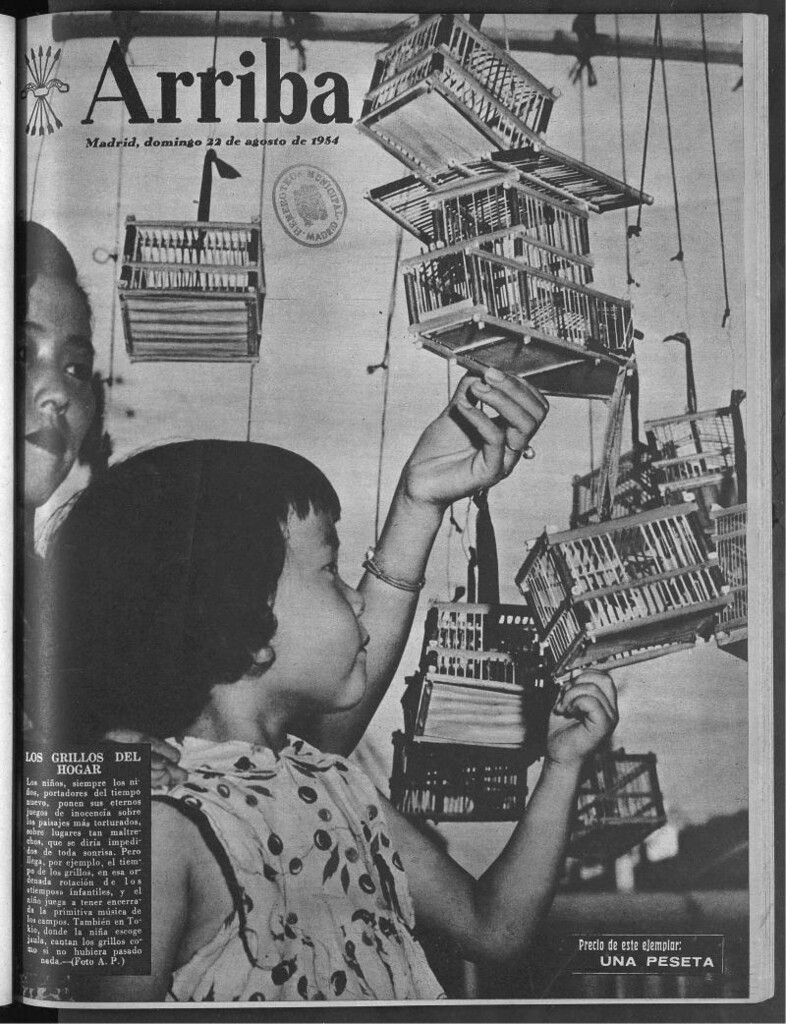 Miniatura de Arriba del 22 de agosto de 1954