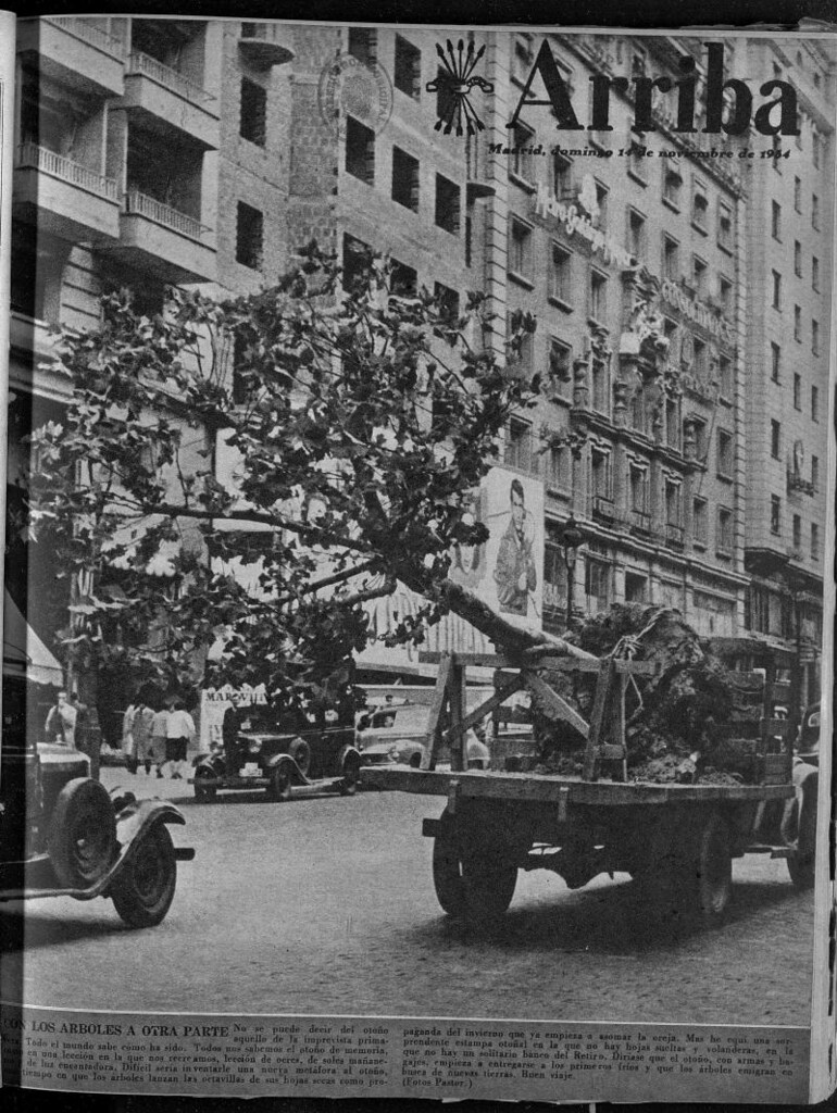 Miniatura de Arriba del 14 de noviembre de 1954