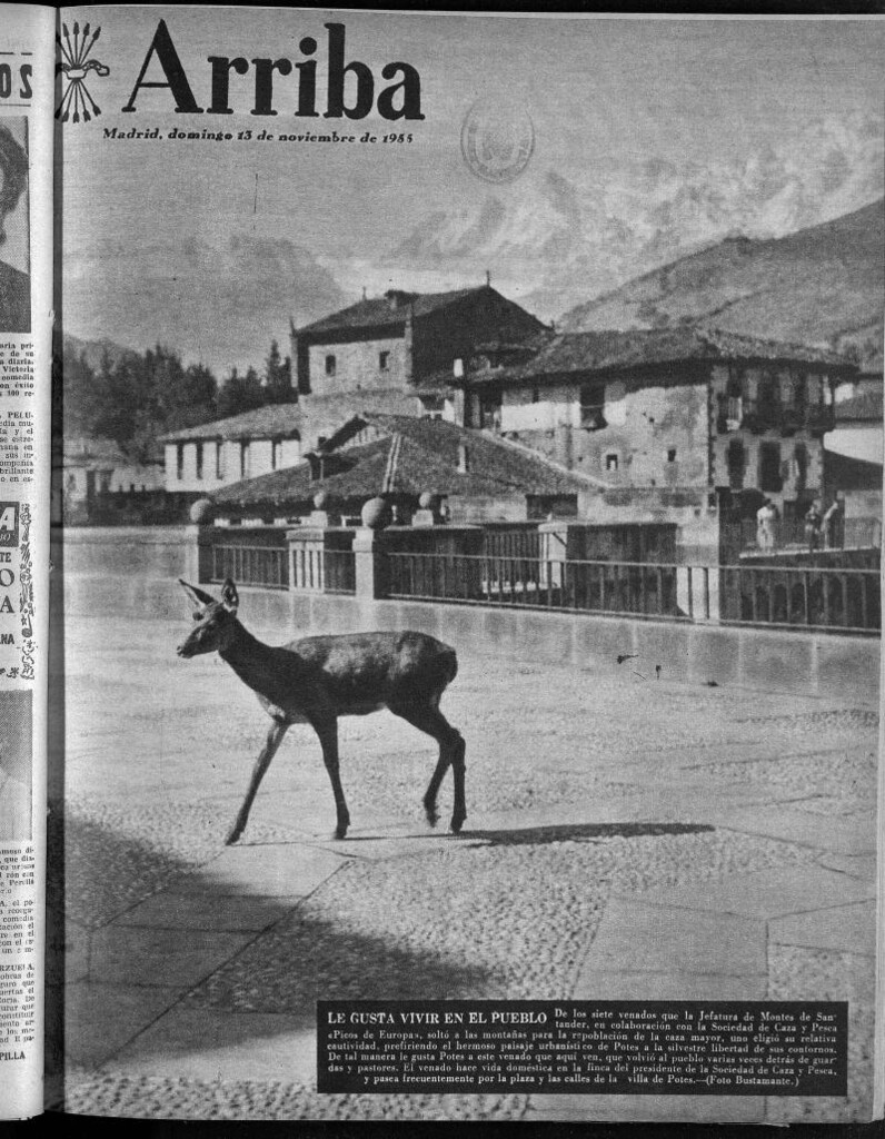 Miniatura de Arriba del 13 de noviembre de 1955