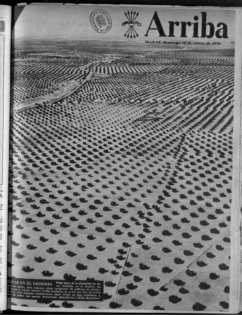 Miniatura de Arriba del 15 de enero de 1956