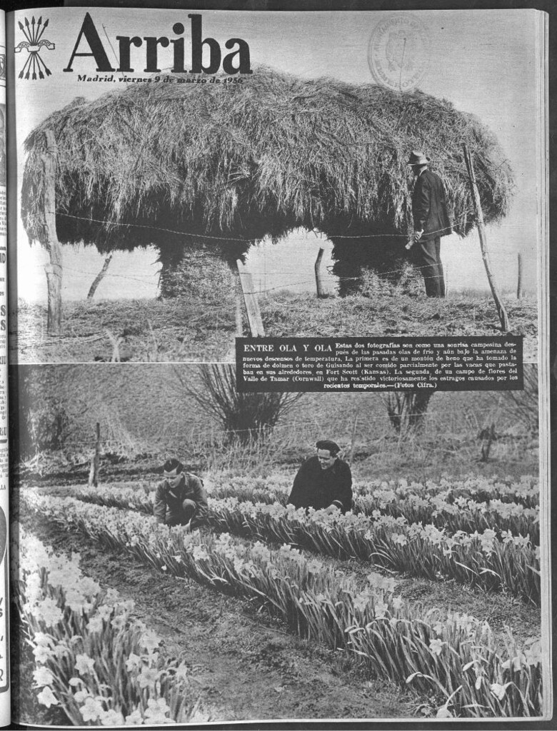 Miniatura de Arriba del 9 de marzo de 1956