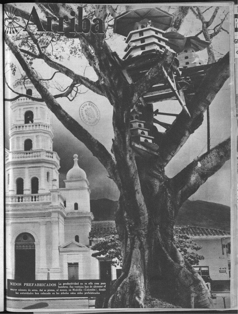 Miniatura de Arriba del 15 de julio de 1956