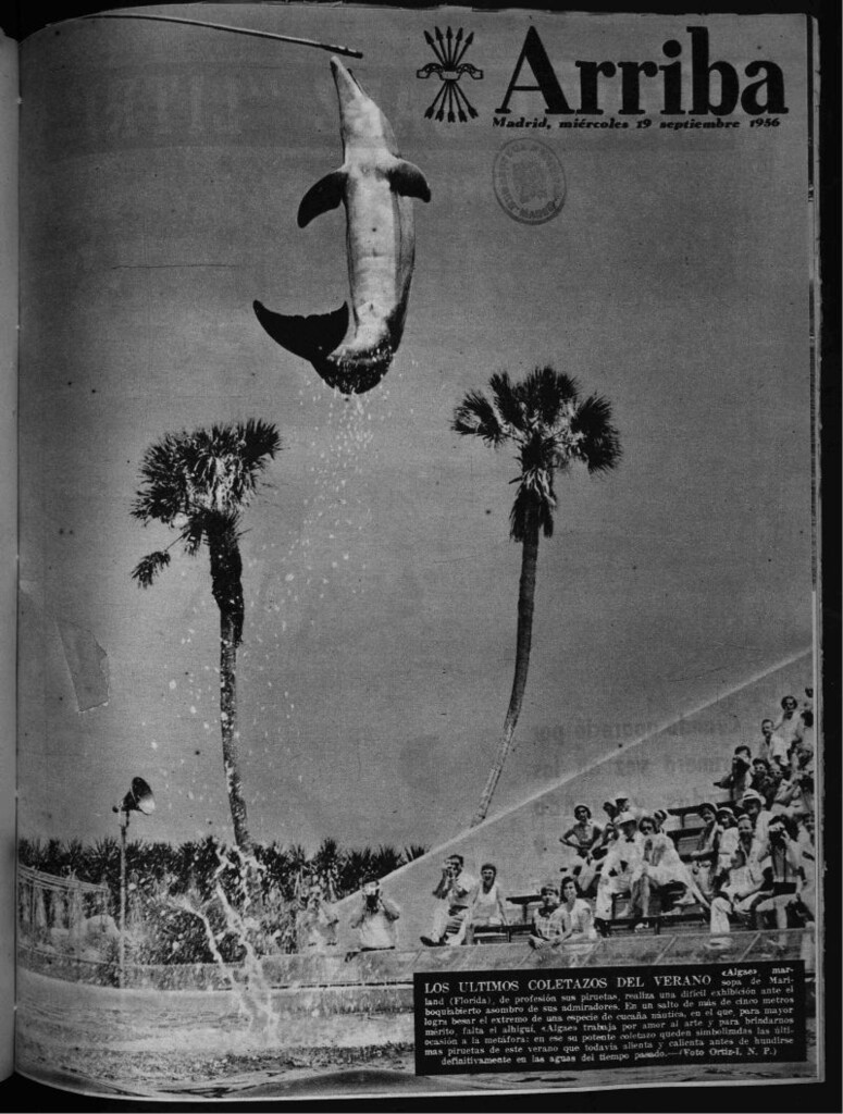 Miniatura de Arriba del 19 de septiembre de 1956