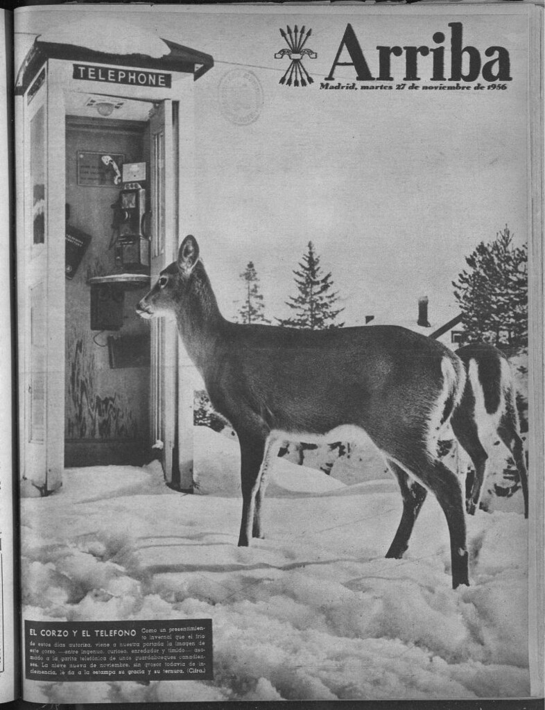 Miniatura de Arriba del 27 de noviembre de 1956