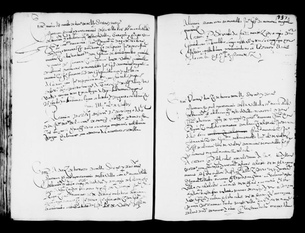 Miniatura de Actas de acuerdos del Ayuntamiento. Tomo 24 del año 1602