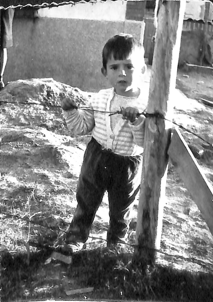 Miniatura de Niño tocando la alambrada