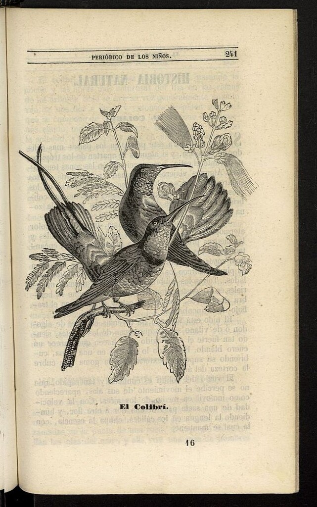 Miniatura de El Mentor de la Infancia de 1845, tomo V, nº 16