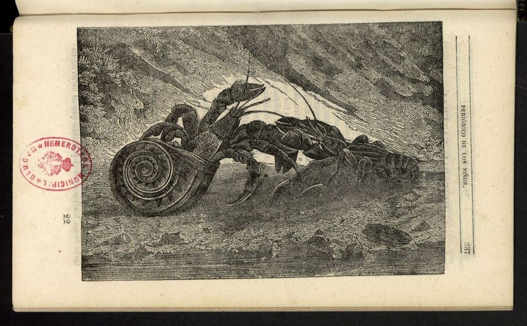 Miniatura de El Mentor de la Infancia de 1845, tomo V, nº 22
