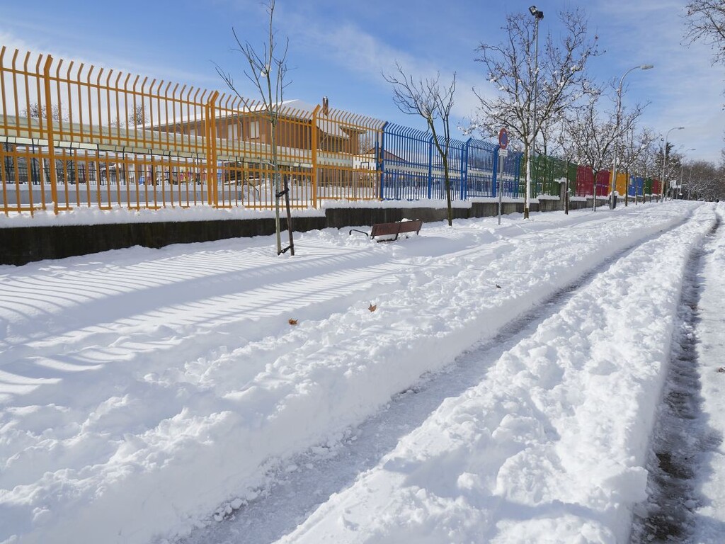 Miniatura de La verja del colegio