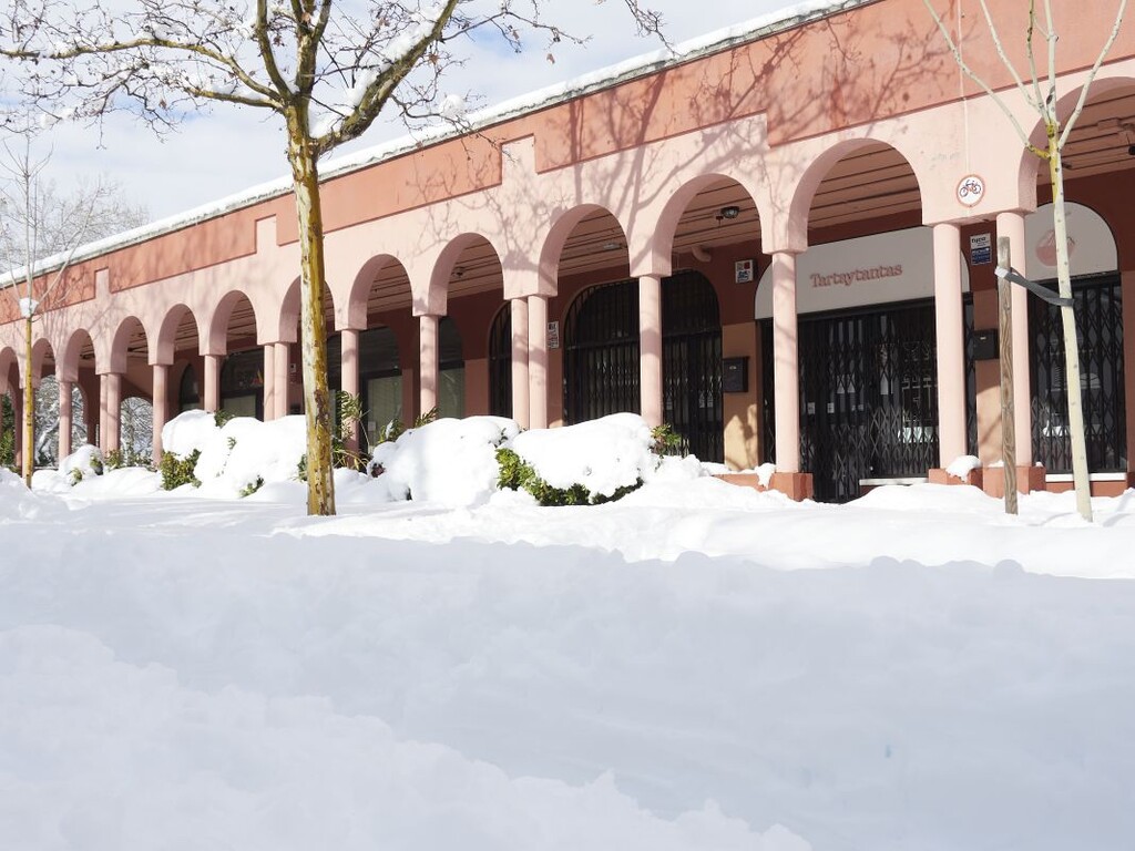 Miniatura de Centro comercial nevado