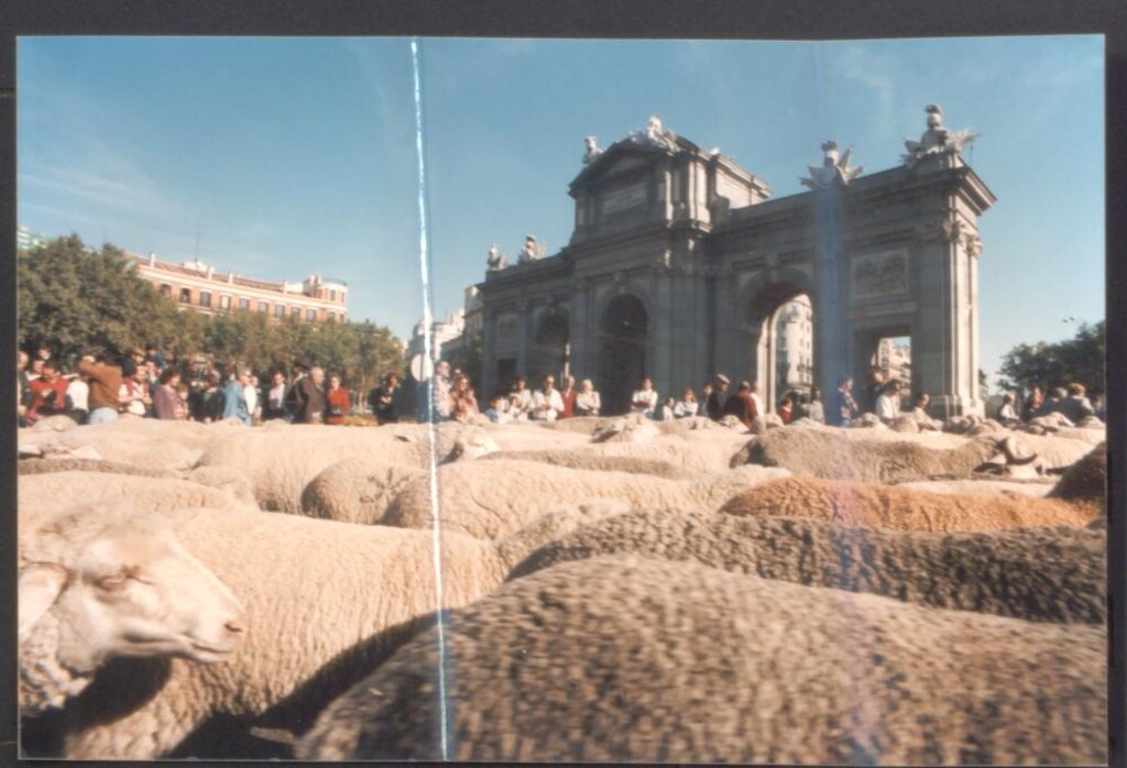 Miniatura de Rebaño de ovejas en la Puerta de Alcalá