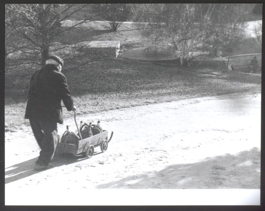 Miniatura de Un anciano transporta garrafas por el Parque del Oeste