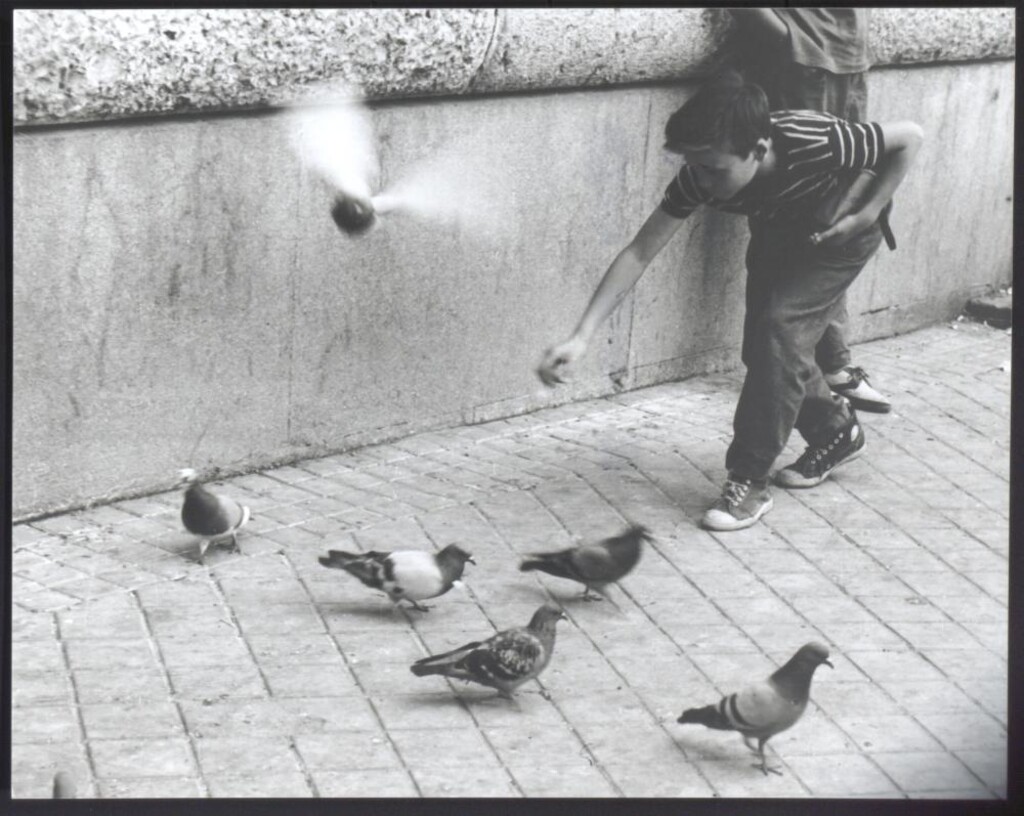 Miniatura de Niño jugando con las palomas de Cibeles