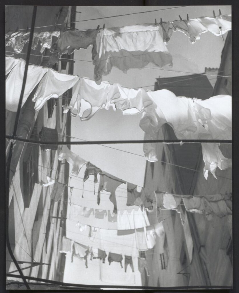Miniatura de Ropa tendida al sol