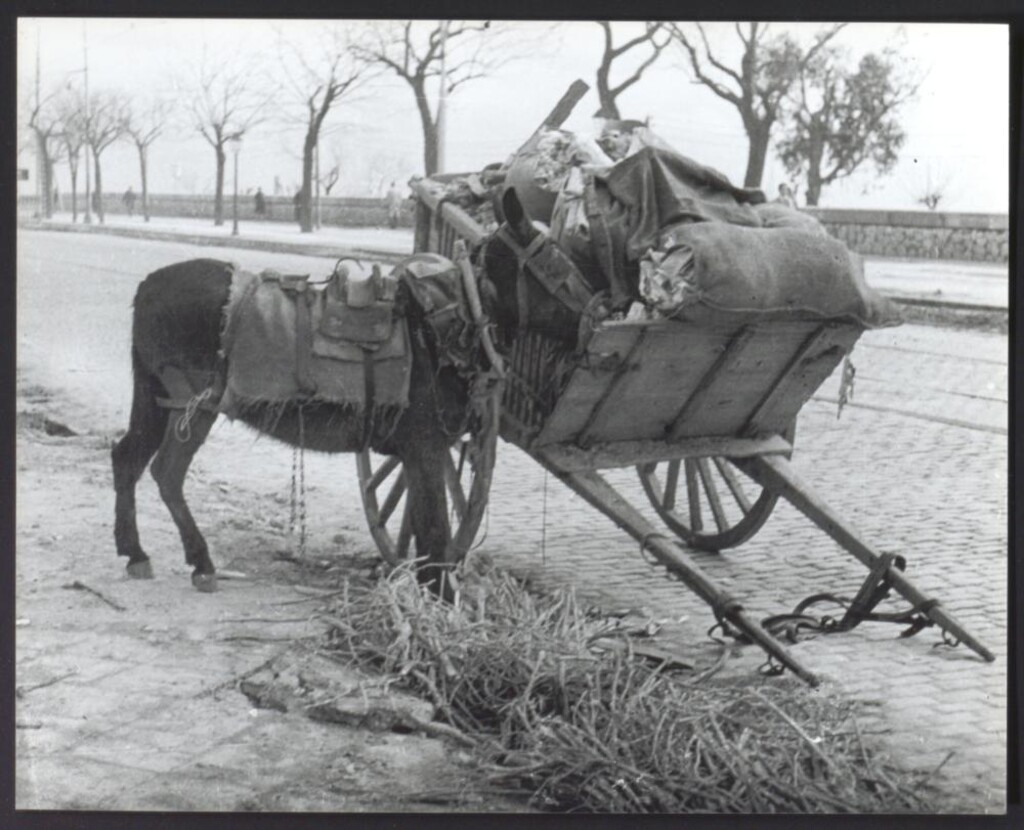 Miniatura de Carro de la basura en el Paseo de Infanta Isabel