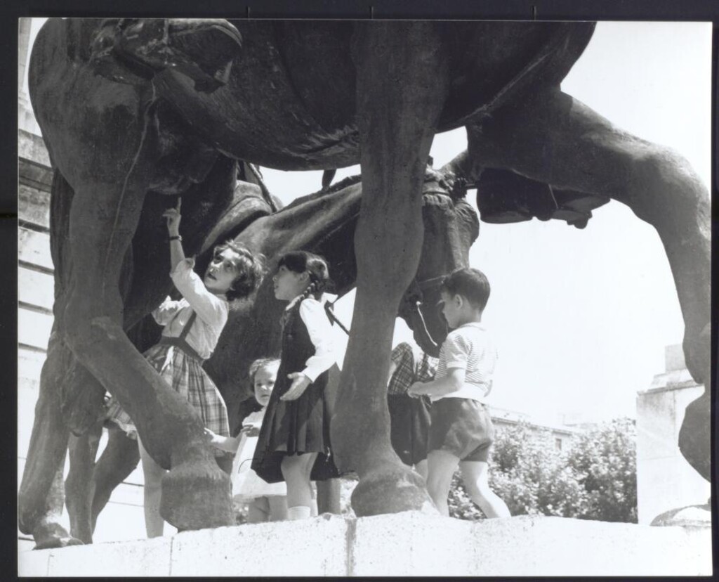Miniatura de Inspección anatómica infantil con Rocinante