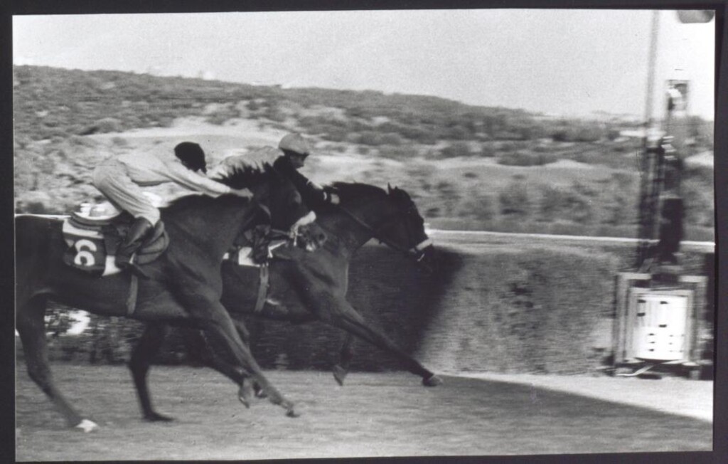 Miniatura de Carrera de caballos en el Hipódromo de la Zarzuela