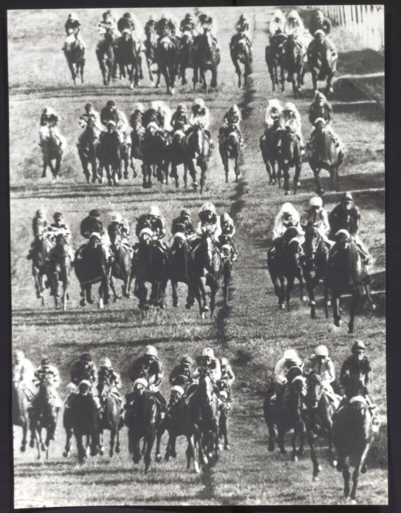 Miniatura de Carrera de caballos en el Hipódromo de la Zarzuela