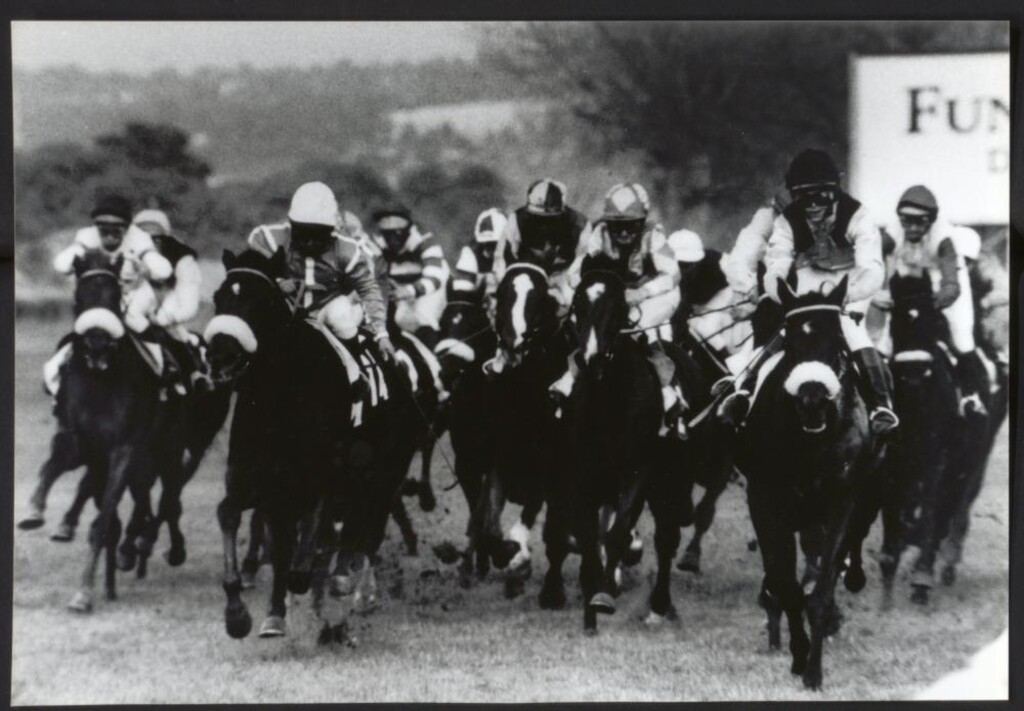 Miniatura de Carrera de caballos en el Hipódromo de la Zarzuela