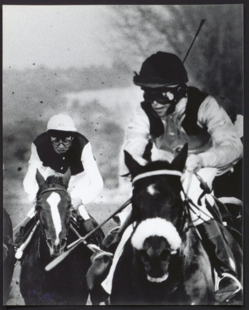 Miniatura de Carrera de caballos en el Hipódromo de la Zarzuela