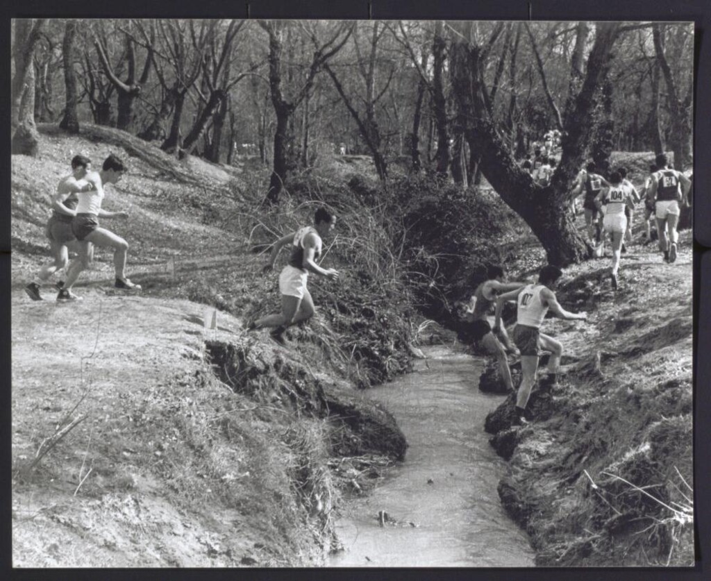 Miniatura de Carrera a campo través