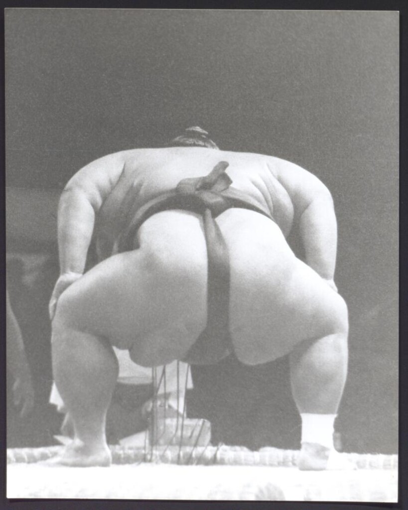 Miniatura de Exhibición de Sumo en el Palacio de los Deportes