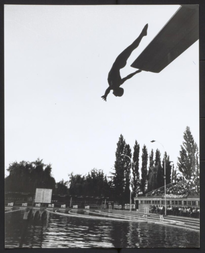 Miniatura de Campeonato de salto de trampolín