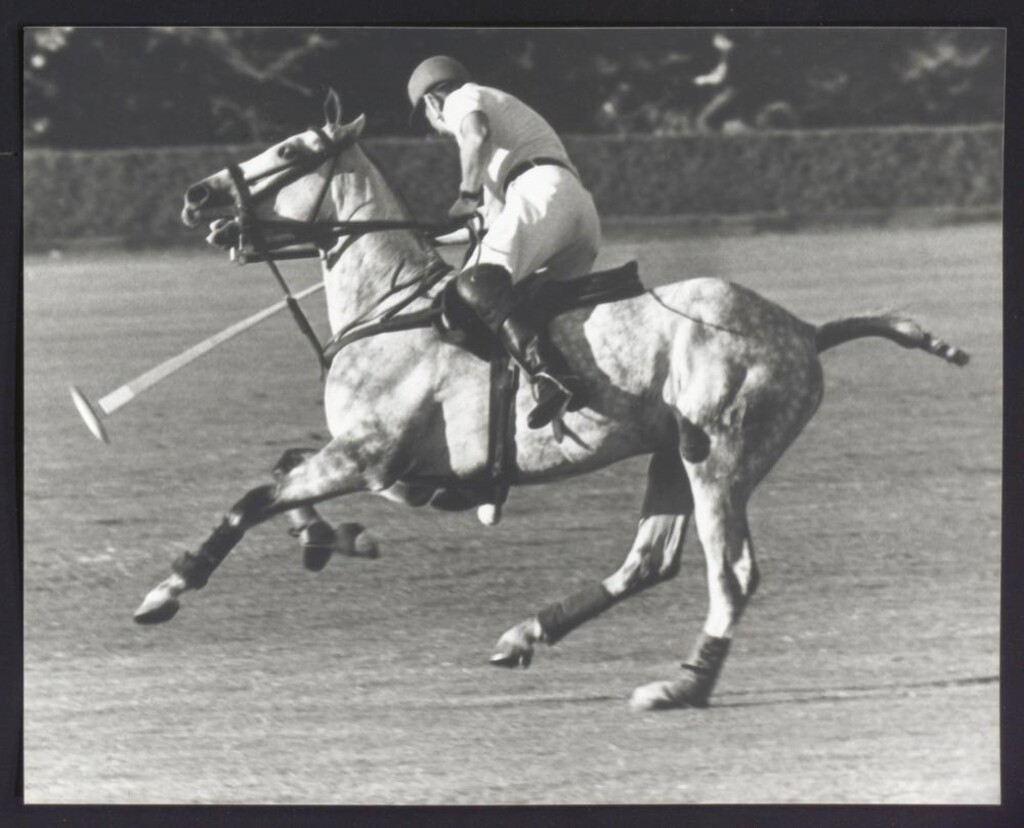 Miniatura de Partido de polo