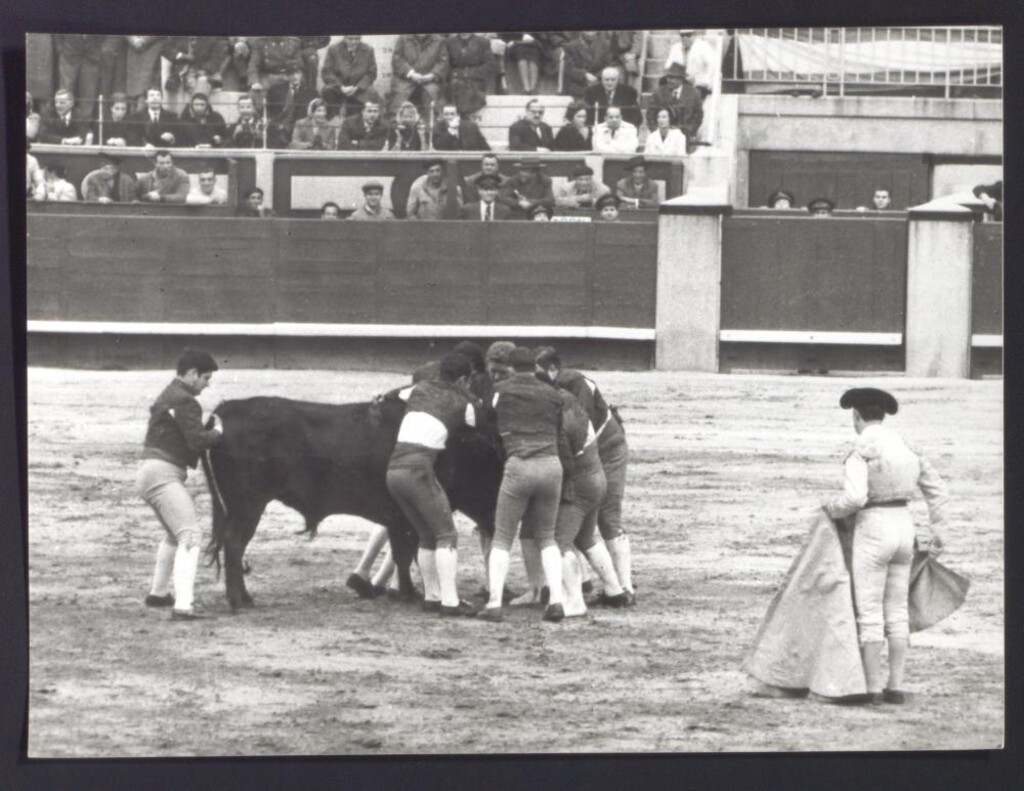 Miniatura de Actuación de los Forcados portugueses en Las Ventas