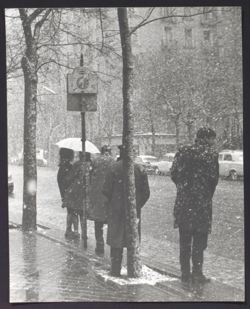 Miniatura de Nevada en la calle de José Ortega y Gasset