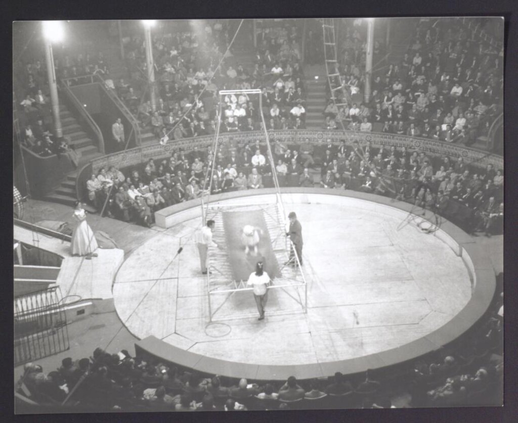 Miniatura de Actuación en el Circo Price