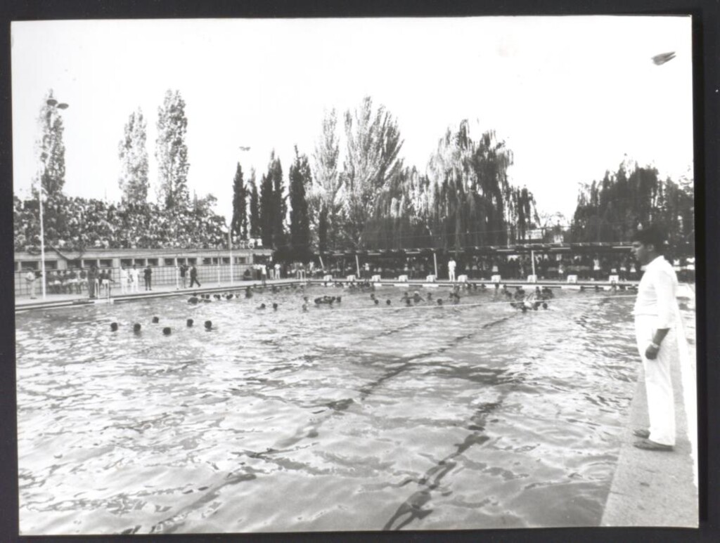 Miniatura de Demostración deportiva de natación en acto municipal