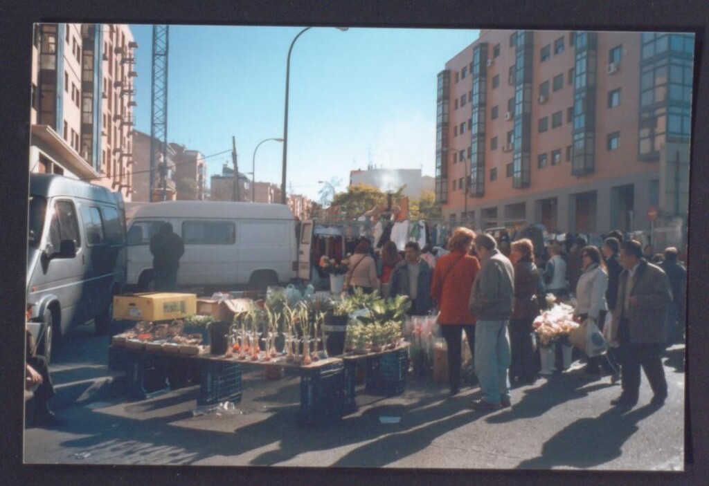Miniatura de Puesto de plantas en el mercadillo de Marques de Viana