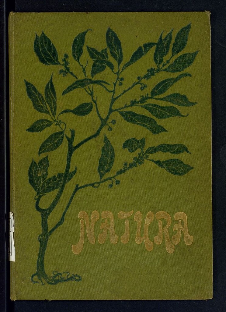 Miniatura de Natura : revista quincenal de ciencia, sociología, literatura y arte