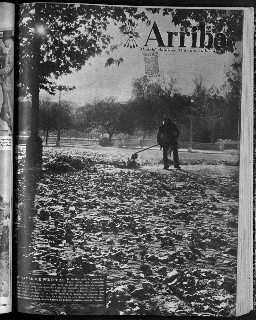 Miniatura de Arriba del 23 de noviembre de 1958