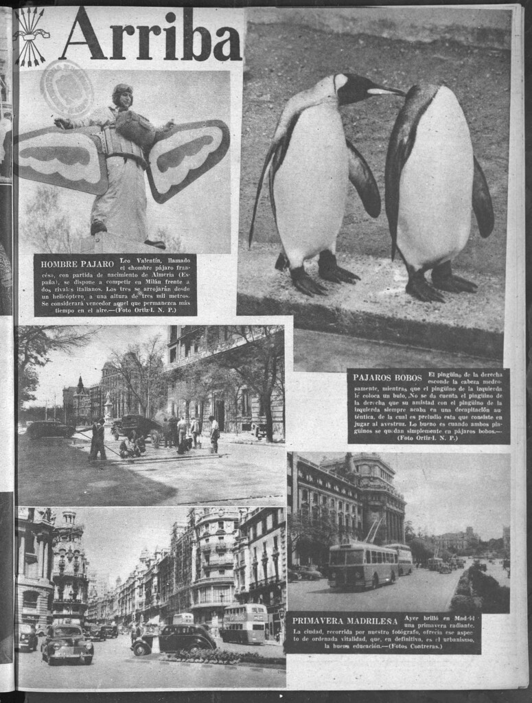 Miniatura de Arriba del 23 de mayo de 1951