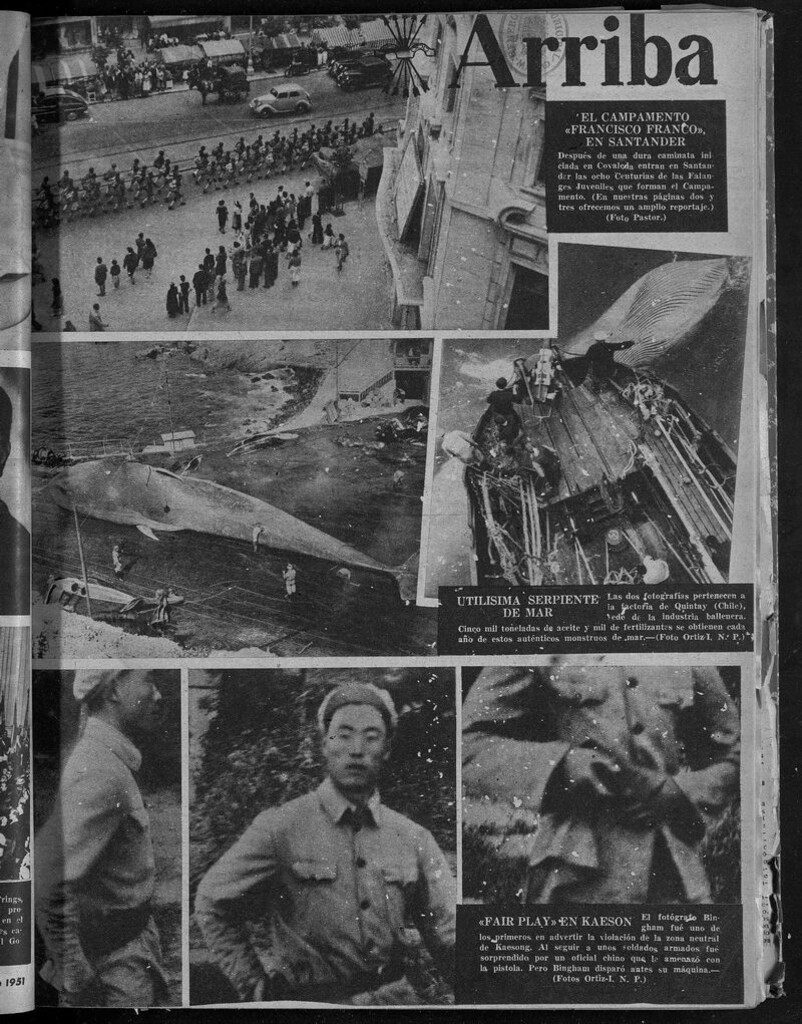 Miniatura de Arriba del 11 de agosto de 1951