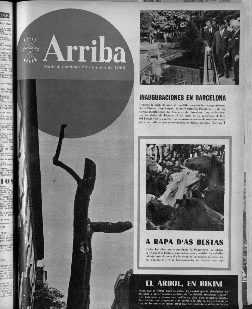 Miniatura de Arriba del 26 de junio de 1966