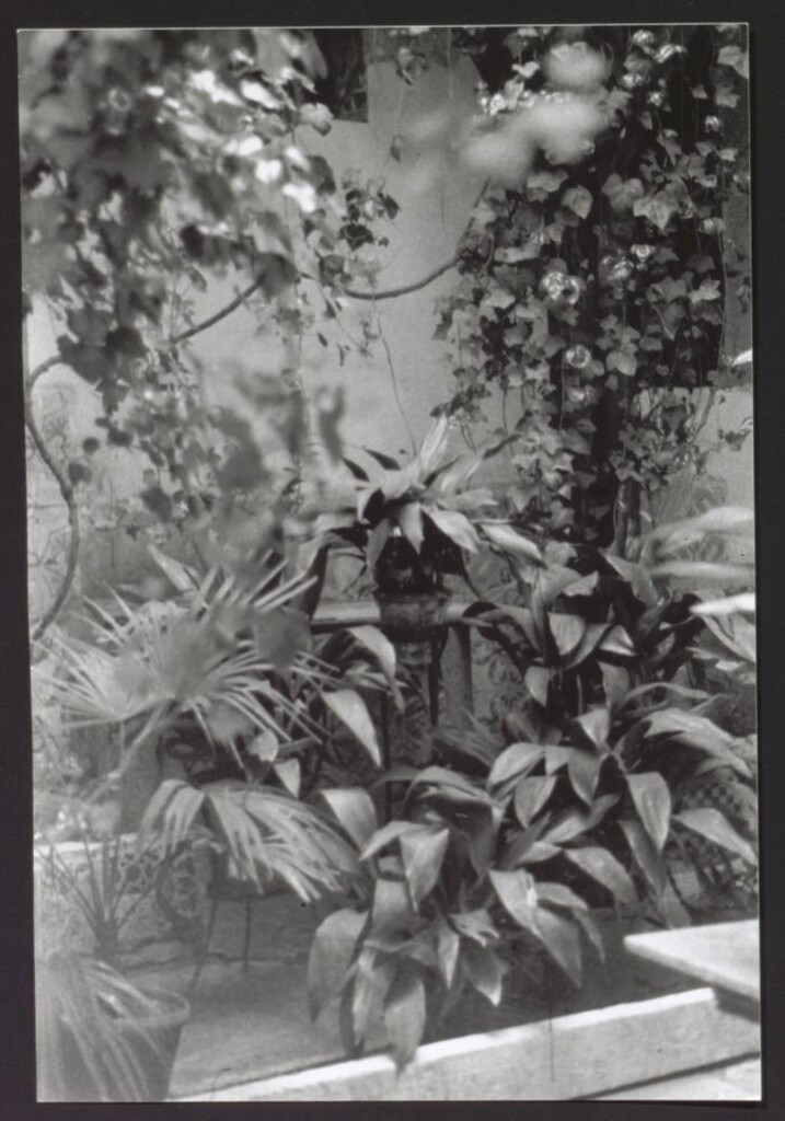 Miniatura de Patio de la Casa de Iván de Vargas