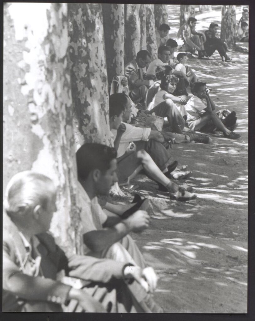 Miniatura de Madrileños descansando a la sombra