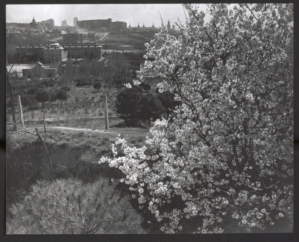 Miniatura de Primavera en la Ciudad Universitaria