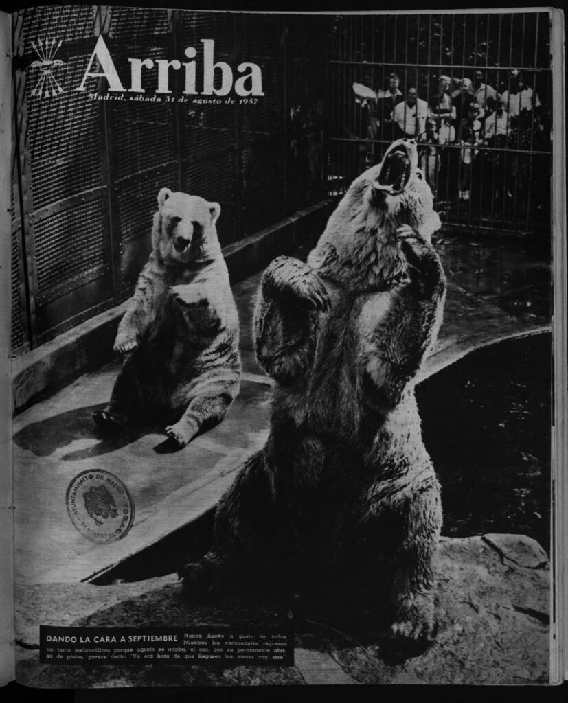 Miniatura de Arriba del 31 de agosto de 1957