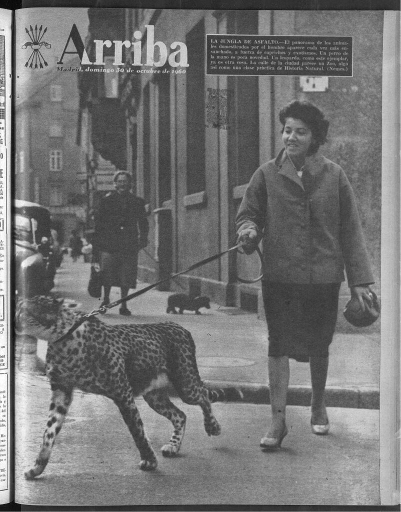Miniatura de Arriba del 30 de octubre de 1960